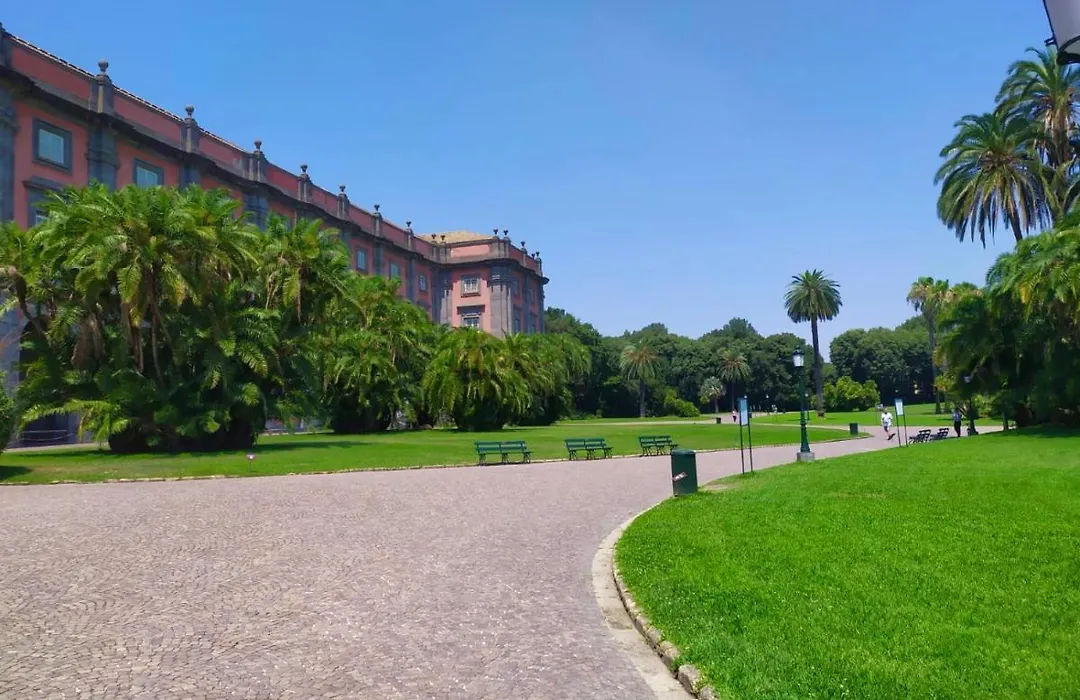 Vico Longo 25 - Ensuit Flat In The Heart Of Naples-1